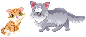 核酸サプリは猫にも効果てきめん