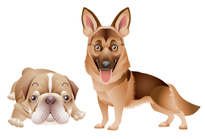 核酸はペットにも同じように効果を現します