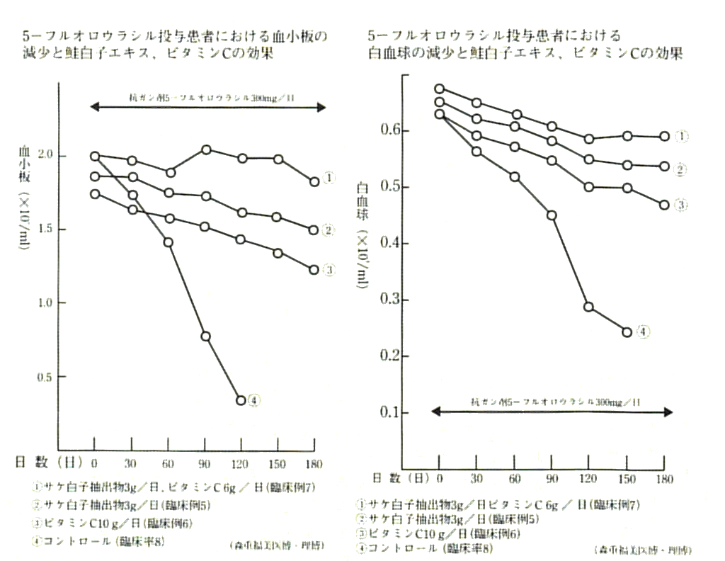抗がん剤と核酸