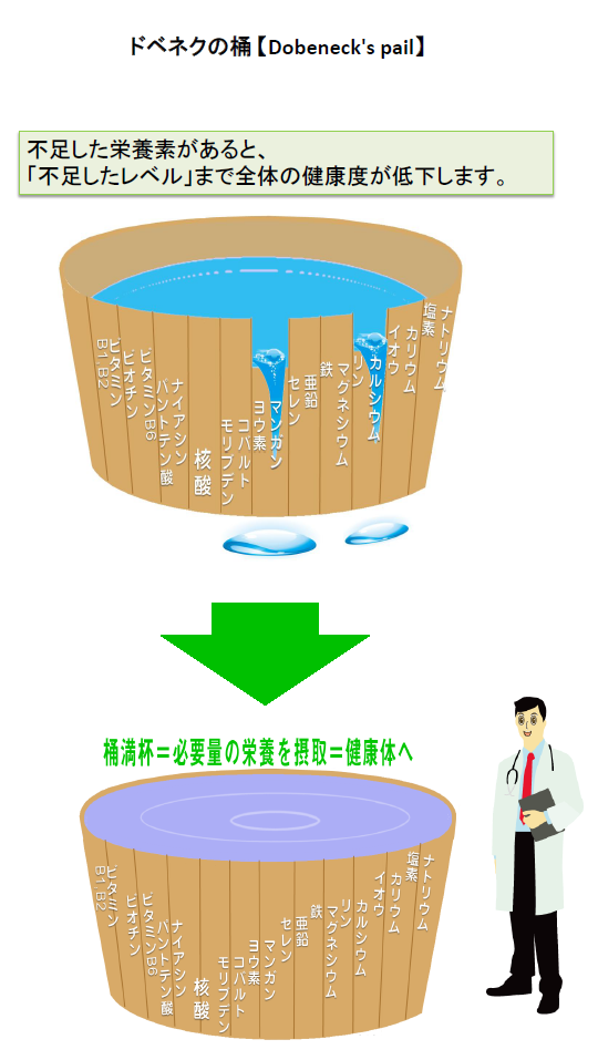 ドベネクの桶、不足した栄養素の低下分まで健康度は下がる